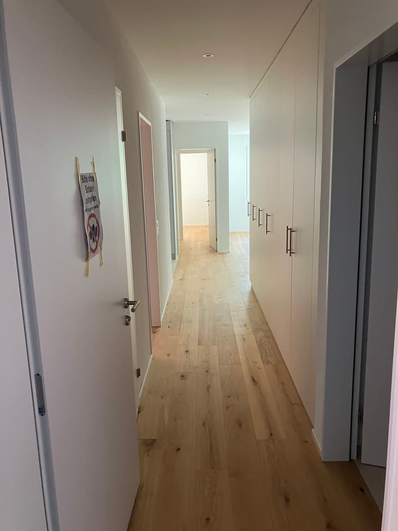 Moderne 5.5-Zimmer-Wohnung in Waldenburg zu vermieten (2)