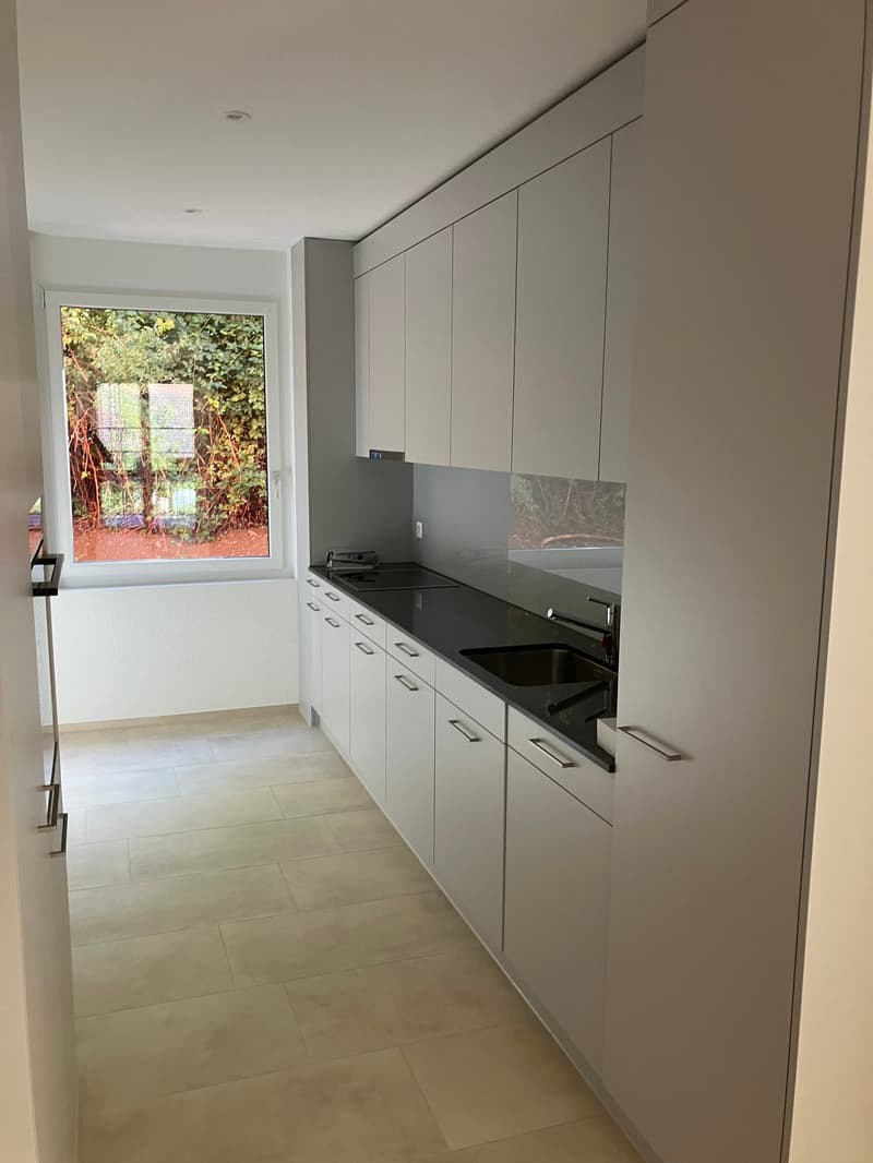 Moderne 5.5-Zimmer-Wohnung in Waldenburg zu vermieten (5)