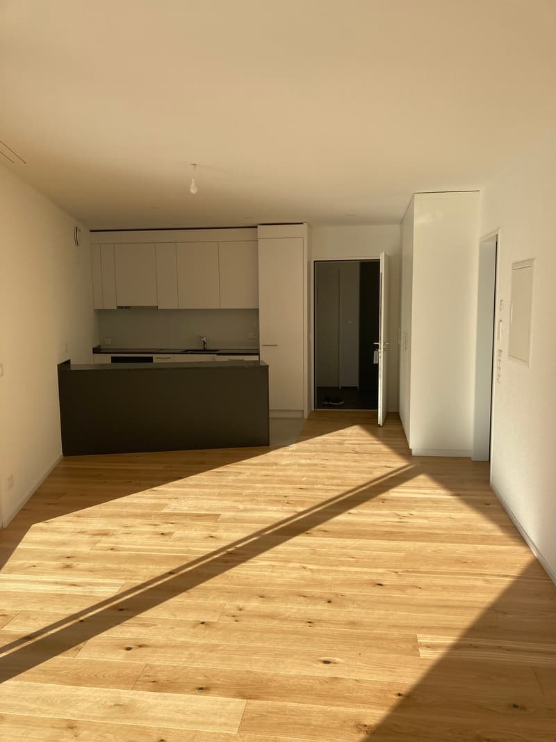 Letzte  2.5-Zimmer-Attika -Wohnung mit Bergblick in Waldenburg (2)