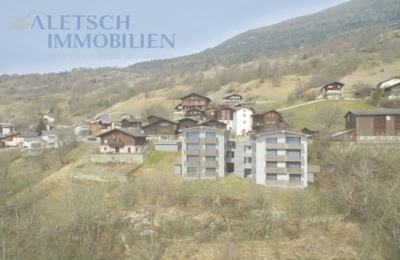 For sale, 5.5-room apartment in Ausserberg / VS (5)