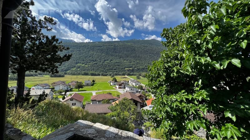 Ausblick