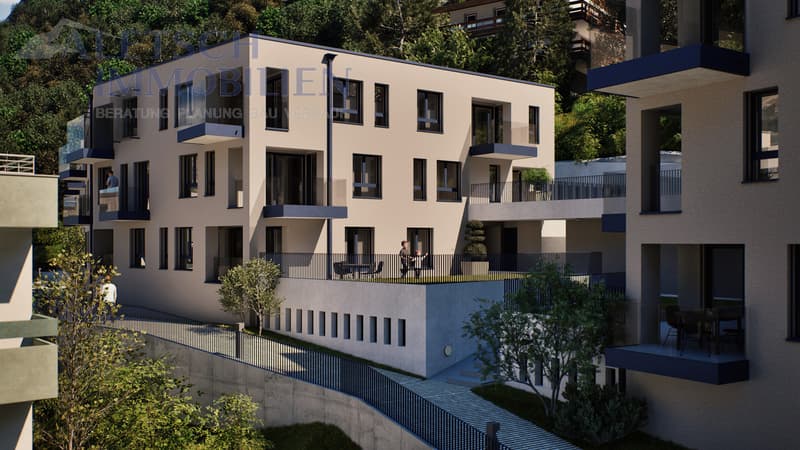 New construction project BACCHUS in Visp / VS - various apartments available (1)