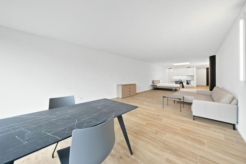 Loft studio furnished with 87 m² on the 1st floor (2)