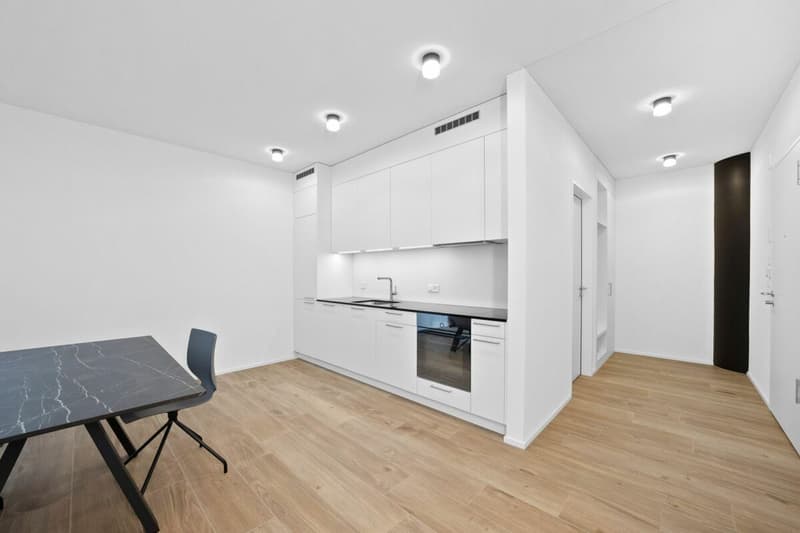 Loft-Atelier möbliert mit 87 m² im 1. Obergeschoss (3)