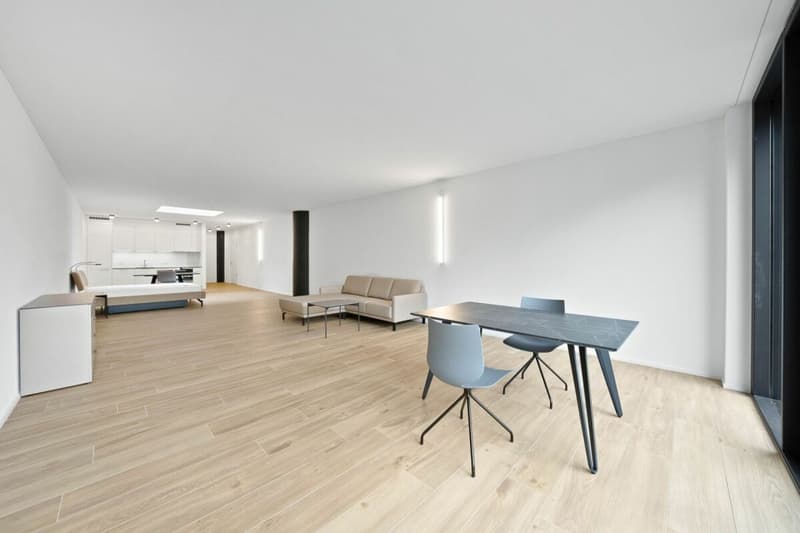 Loft-Atelier möbliert mit 87 m² im 1. Obergeschoss (1)