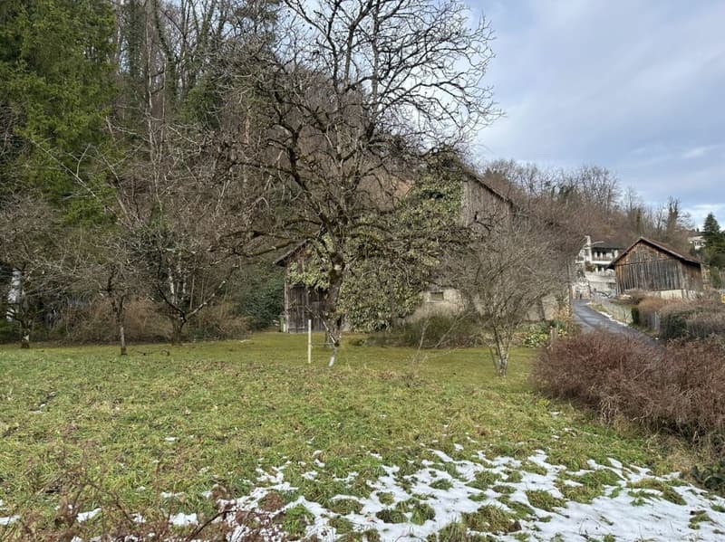 787 m2 de terrain à bâtir dans la zone du centre du village Sevelen avec ancienne maison d'habitation et grange (2)