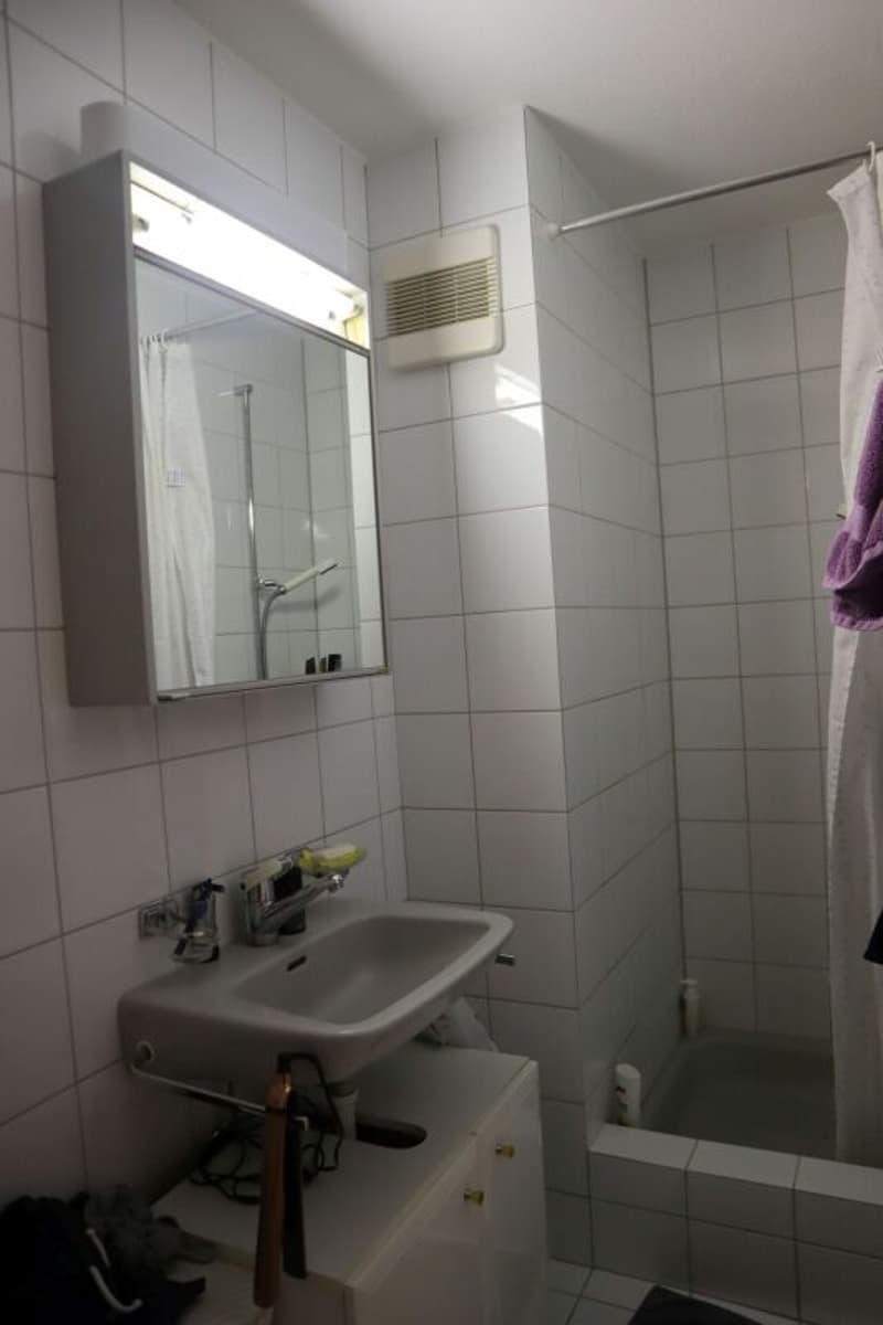 3.5-room garden apartment in an idyllic, preferred location in Buchs - RESERVIERED should be translated to: 3.5-room garden apartment in an idyllic, preferred location in Buchs - RESERVED (6)