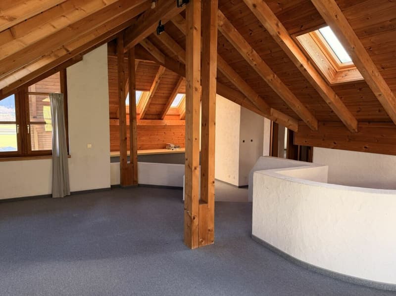 8 ½-room single-family house with 1 ½-room apartment in an idyllic residential location with a wonderful panoramic view (8)