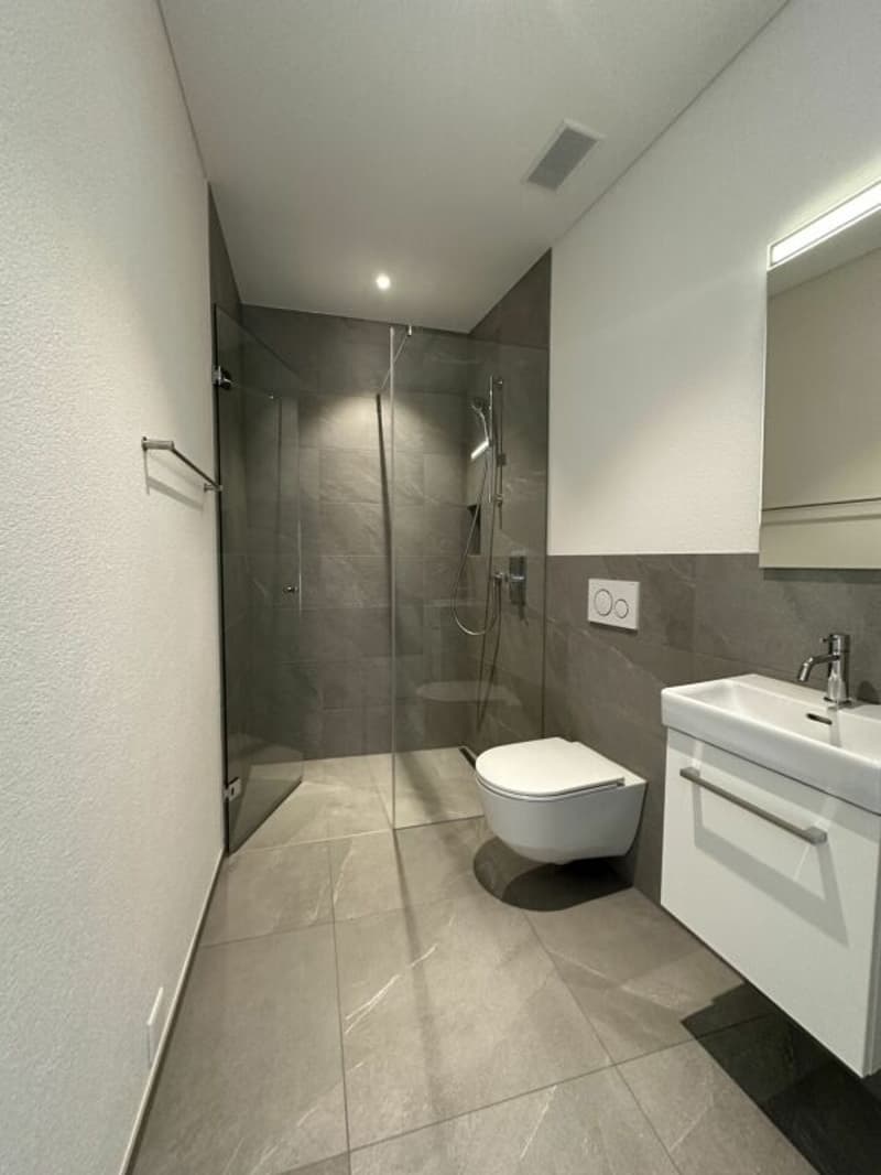 attraktive 4.5 Zimmer-Attikawohnung mit herrlichem Ausblick (7)