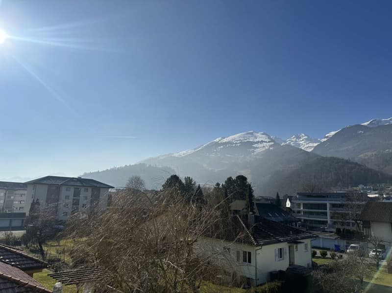 attraktive 4.5 Zimmer-Attikawohnung mit herrlichem Ausblick (9)