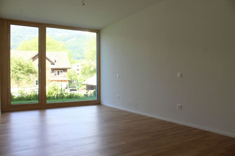 Attractive 4.5-room apartment in an idyllic location (5)