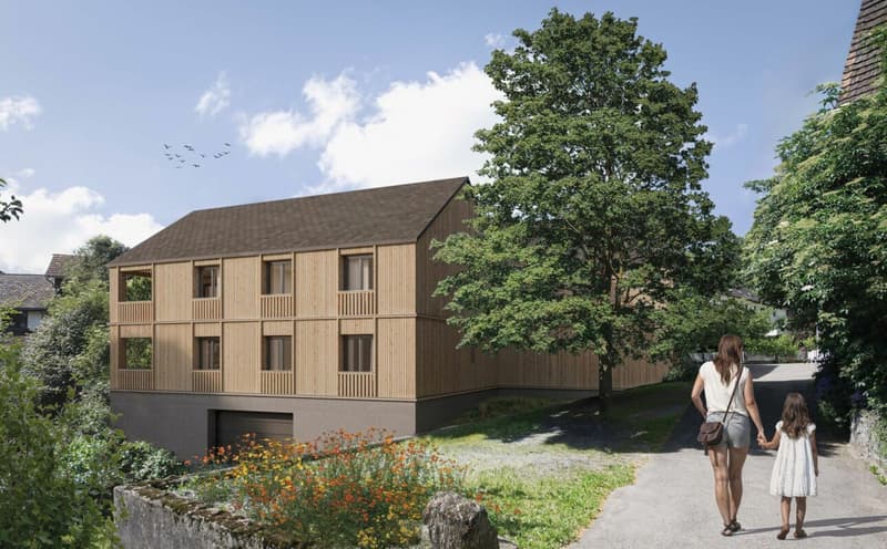 attraktive 2 ½-Zi-Dach-Maisonettewohnung an idyllischer Wohnlage in Oberschan (3)