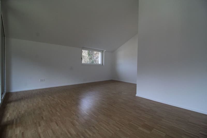 coole 2.5 Zimmer-Dachwohnung (3)