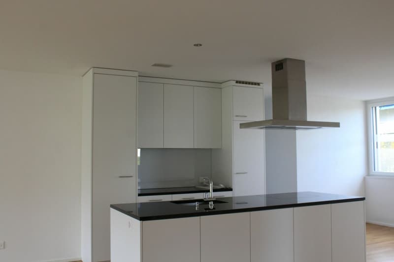 attraktive 3.5 Zimmer-Wohnung im 1. OG (2)