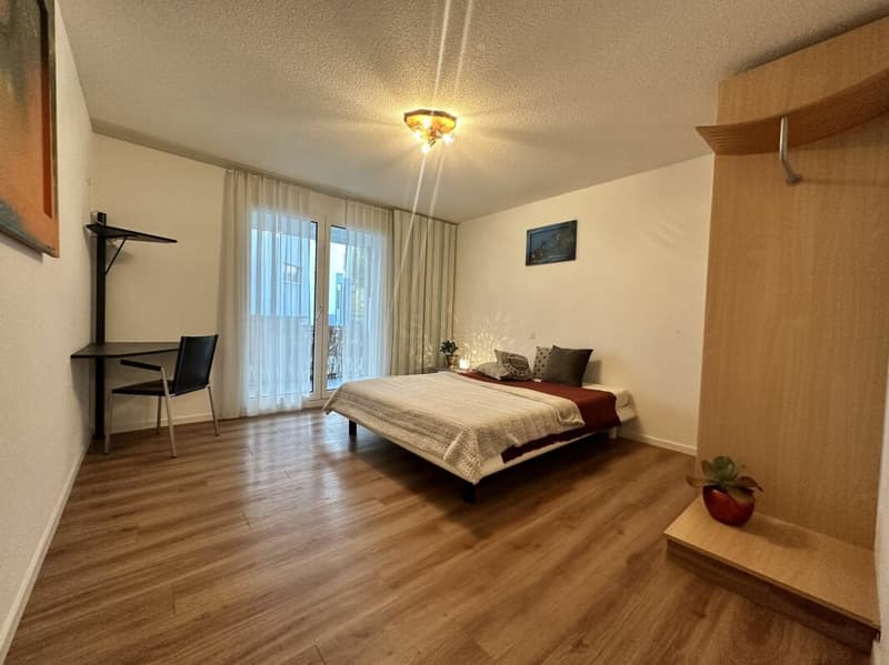 möbliertes Studio / 1-Zimmer-Wohnung Nähe Zentrum (2)