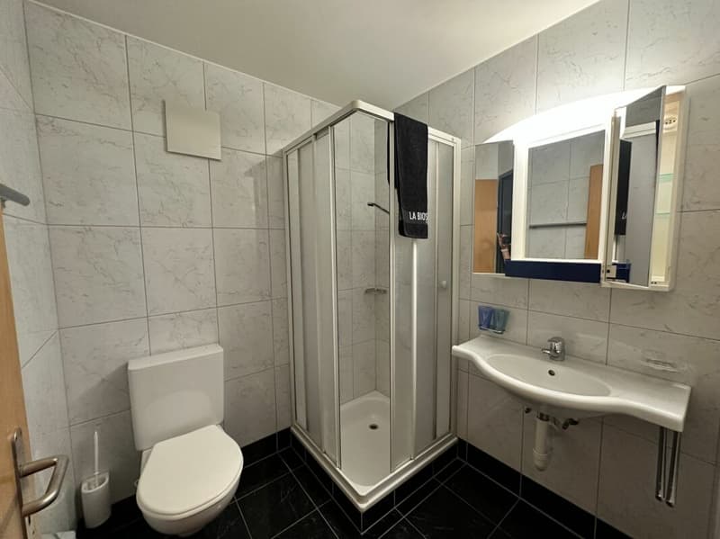 möbliertes Studio / 1-Zimmer-Wohnung Nähe Zentrum (3)