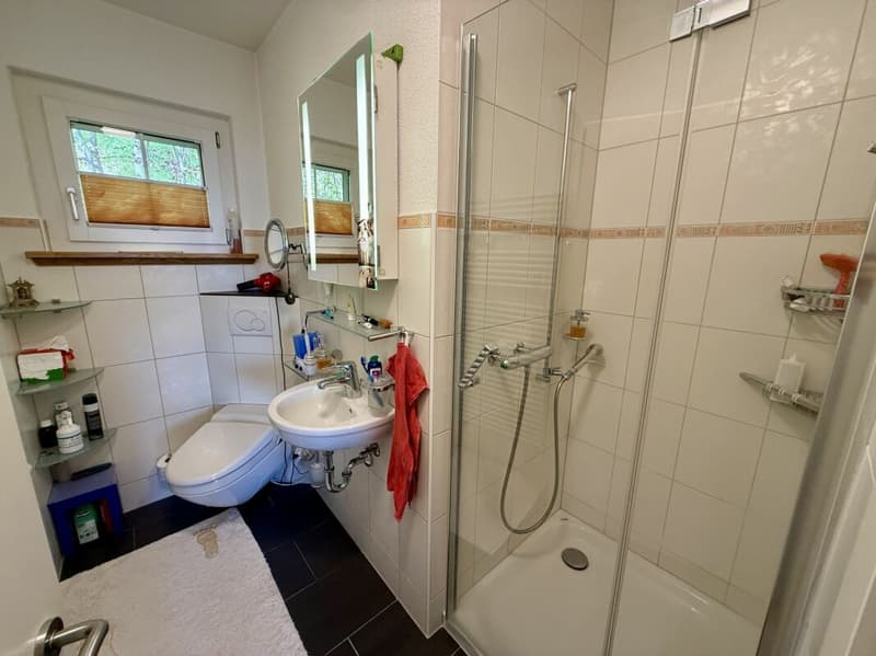 7.5-Room Country House (22)