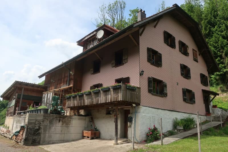 Former horse farm in the middle of the UNESCO World Heritage Entlebuch (5)