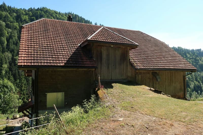 Former horse farm in the middle of the UNESCO World Heritage Entlebuch (6)