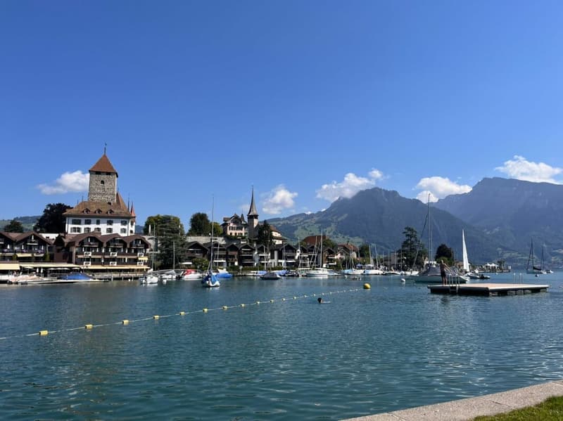 Appartamento di giardino 4,5 locali nella più bella baia d'Europa (2)
