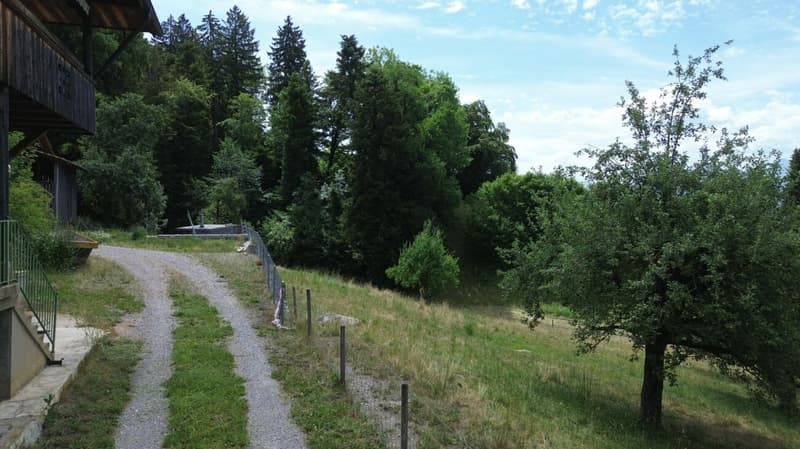 1'550 m2 de terrain à bâtir dans un endroit magnifique (6)