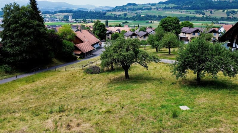 1'550 m2 de terrain à bâtir dans un endroit magnifique (3)