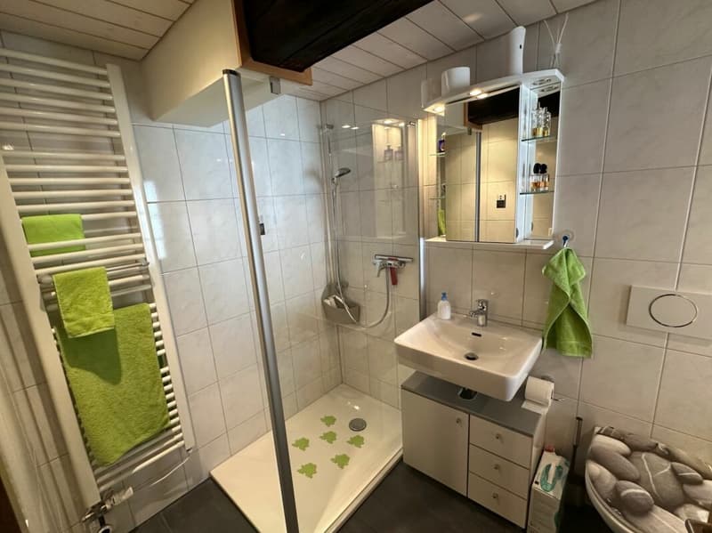 Appartement cosy dans une ferme au 1er étage (10)