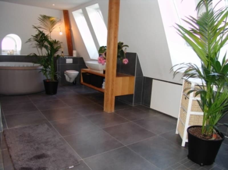Representative Bernese country house villa (15)
