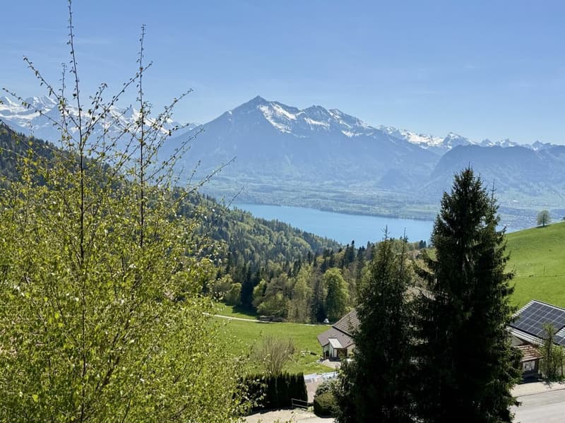7.5-Zimmer Landhaus, Seesicht oberhalb der Nebelgrenze (25)