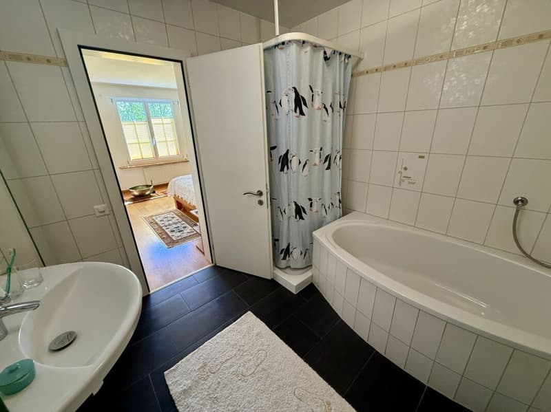 7.5-Zimmer Landhaus, Seesicht oberhalb der Nebelgrenze (19)