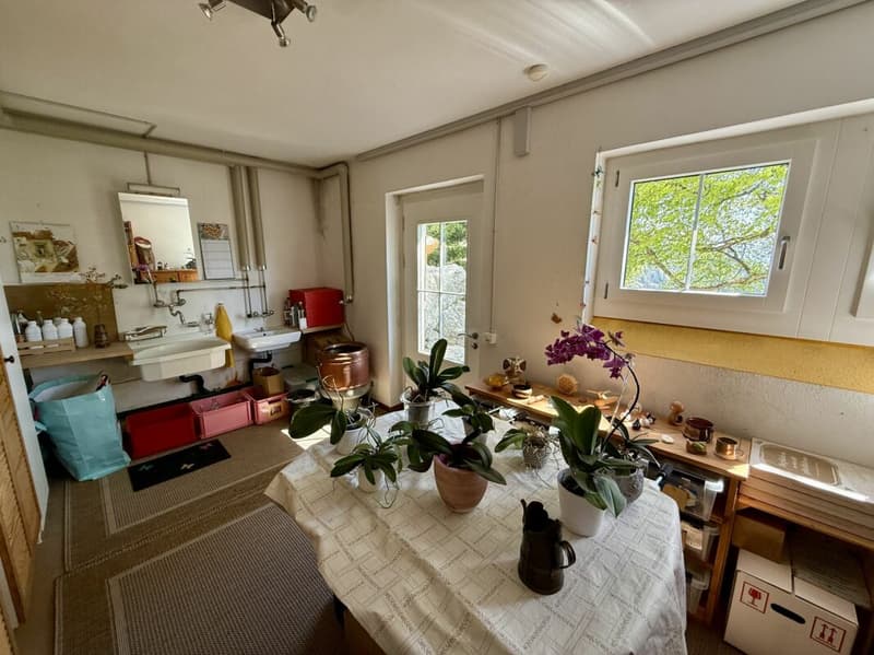 7.5-Zimmer Landhaus, Seesicht oberhalb der Nebelgrenze (24)