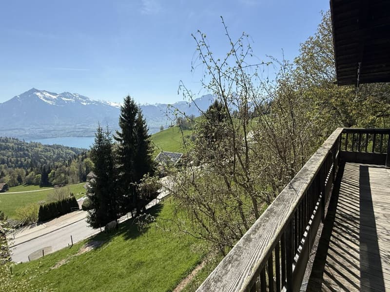 7.5-Zimmer Landhaus, Seesicht oberhalb der Nebelgrenze (20)
