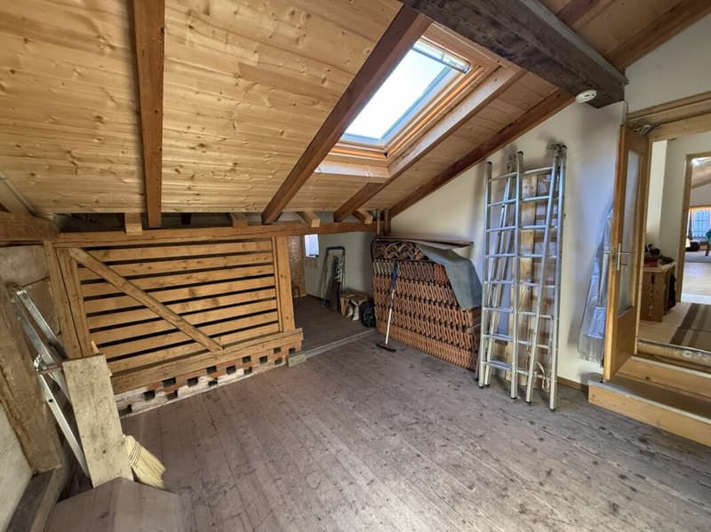 Saniertes ehemaliges Bauernhaus (DEFH) (16)