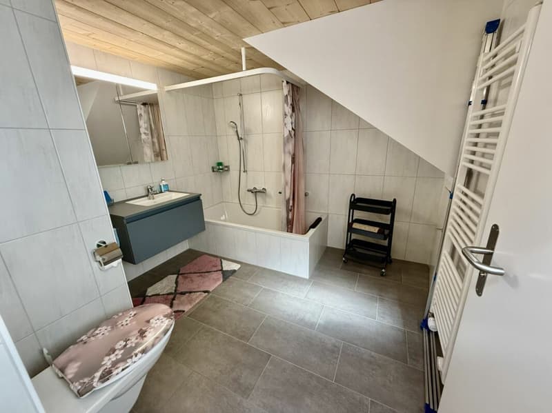 Saniertes ehemaliges Bauernhaus (DEFH) (15)
