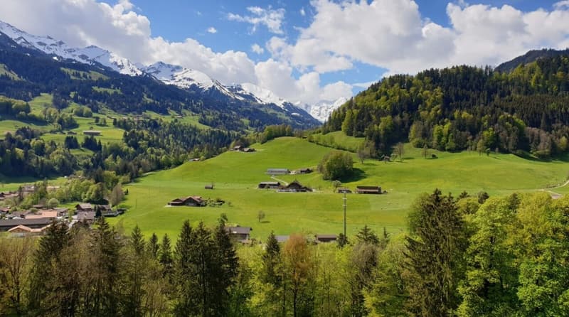 Aussicht