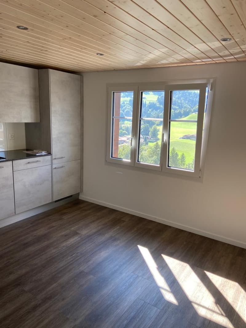 Schöne 2.5 Zimmerwohnung mit grossem Sitzplatz (2)