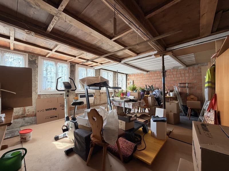 Basement room with wooden ceiling, brick walls, exercise equipment, storage boxes, plants, and various items.