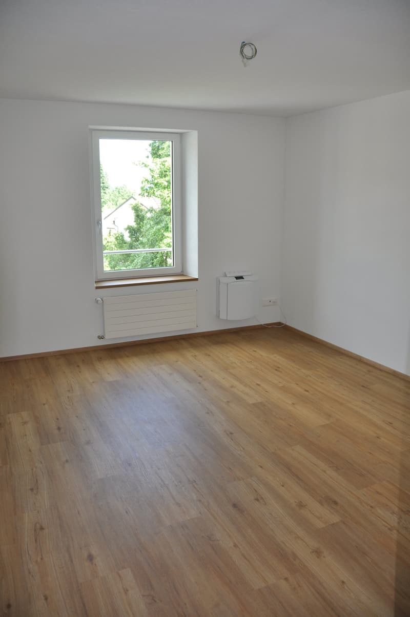 Charming 4.5 room apartment with beautiful Tessin-style arbor (6)