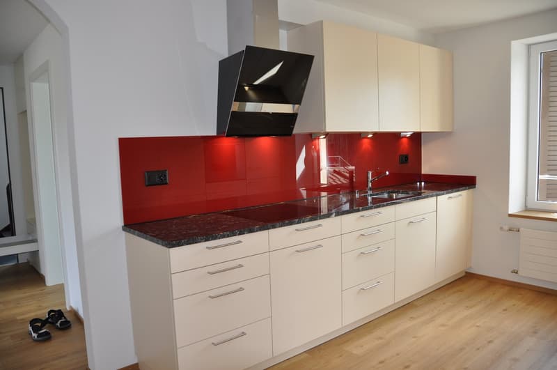 Charming 4.5 room apartment with beautiful Tessin-style arbor (2)