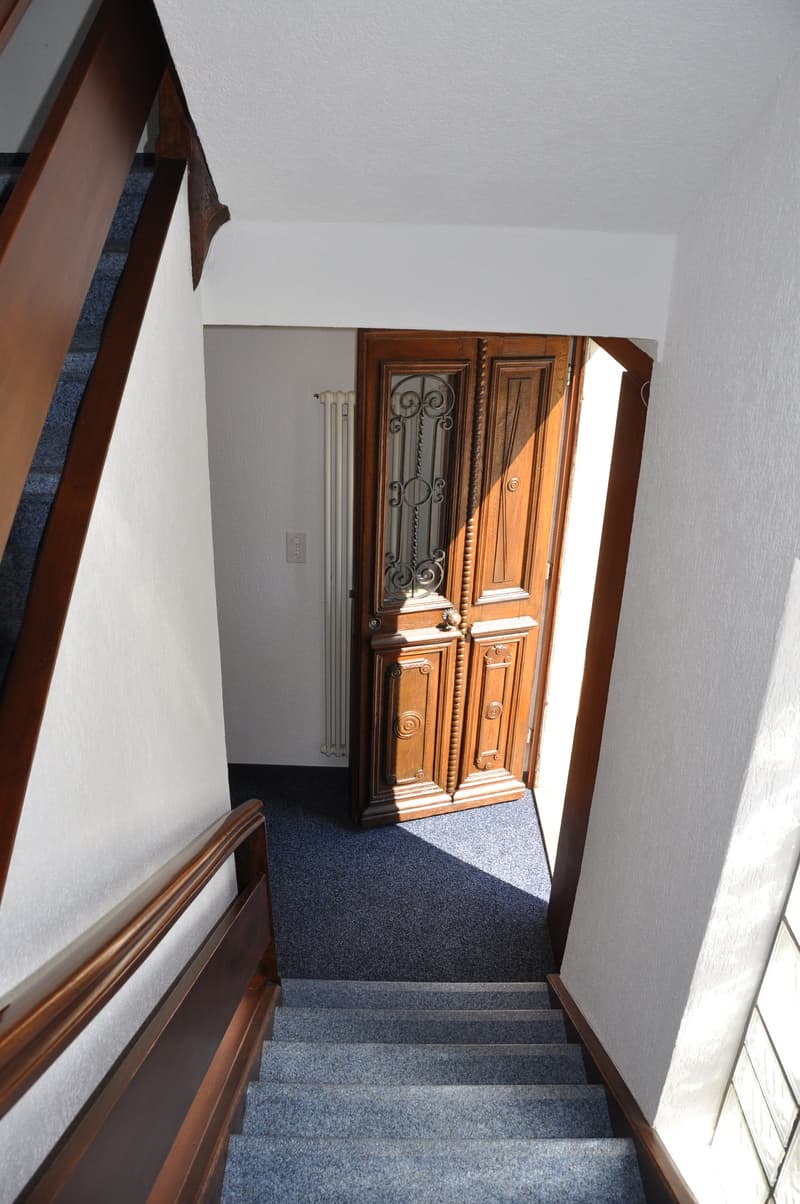Charming 4.5 room apartment with beautiful Tessin-style arbor (11)