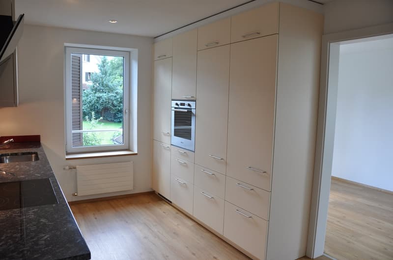 Charming 4.5 room apartment with beautiful Tessin-style arbor (5)