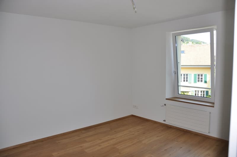 Charming 4.5 room apartment with beautiful Tessin-style arbor (7)