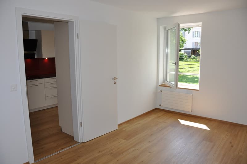 Charming 4.5 room apartment with beautiful Tessin-style arbor (3)