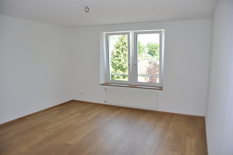 Charming 4.5 room apartment with beautiful Tessin-style arbor (4)