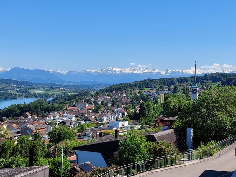Appartement de terrasse exclusif de 5,5 pièces avec vue imprenable sur le lac et les montagnes (4)