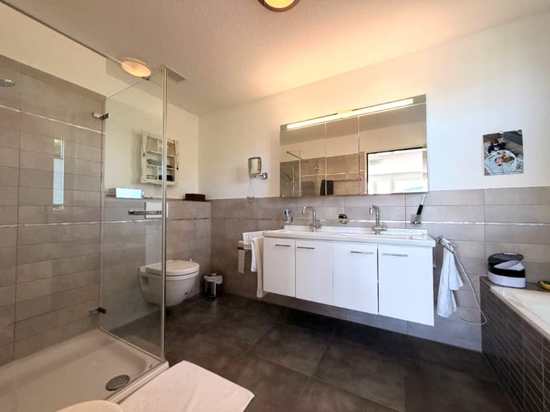 Appartement de terrasse exclusif de 5,5 pièces avec vue imprenable sur le lac et les montagnes (11)