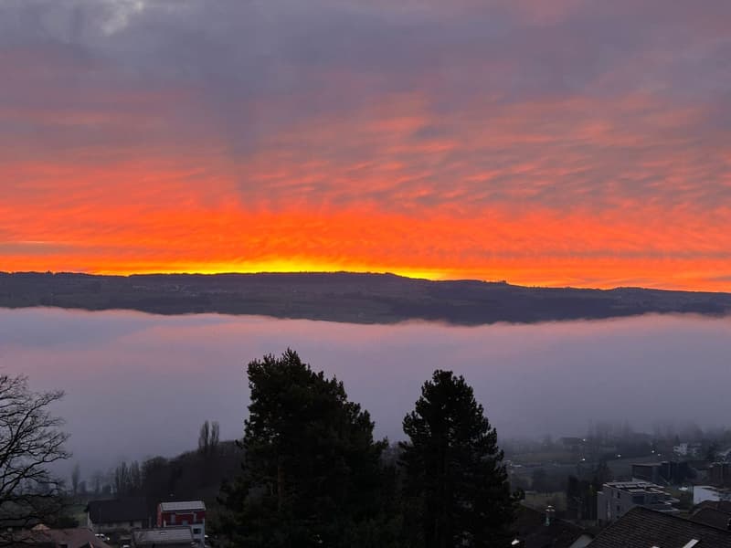 Appartement de terrasse exclusif de 5,5 pièces avec vue imprenable sur le lac et les montagnes (3)