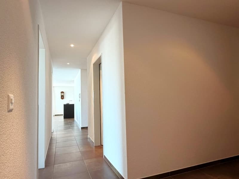 Appartement de terrasse exclusif de 5,5 pièces avec vue imprenable sur le lac et les montagnes (15)