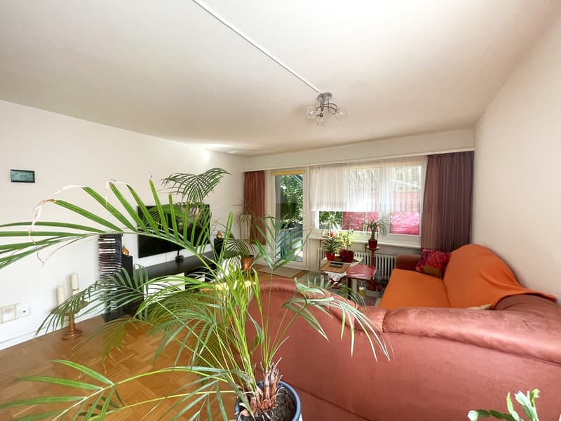 Charming apartment with garage (3)