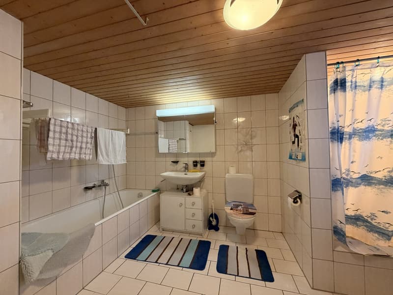 Charming old property with large plot and great potential (6)